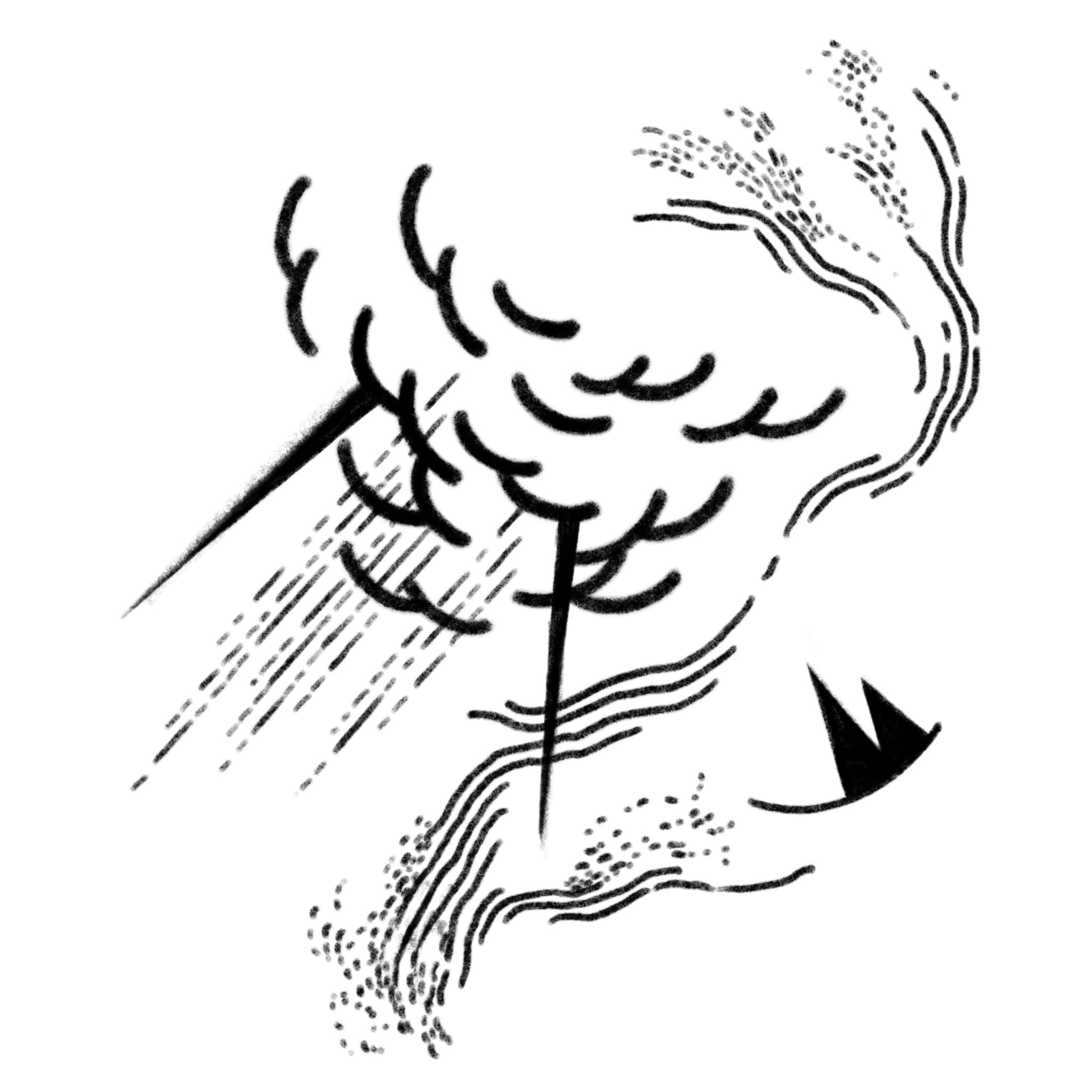 Miscellaneous Illustrations - Image 6