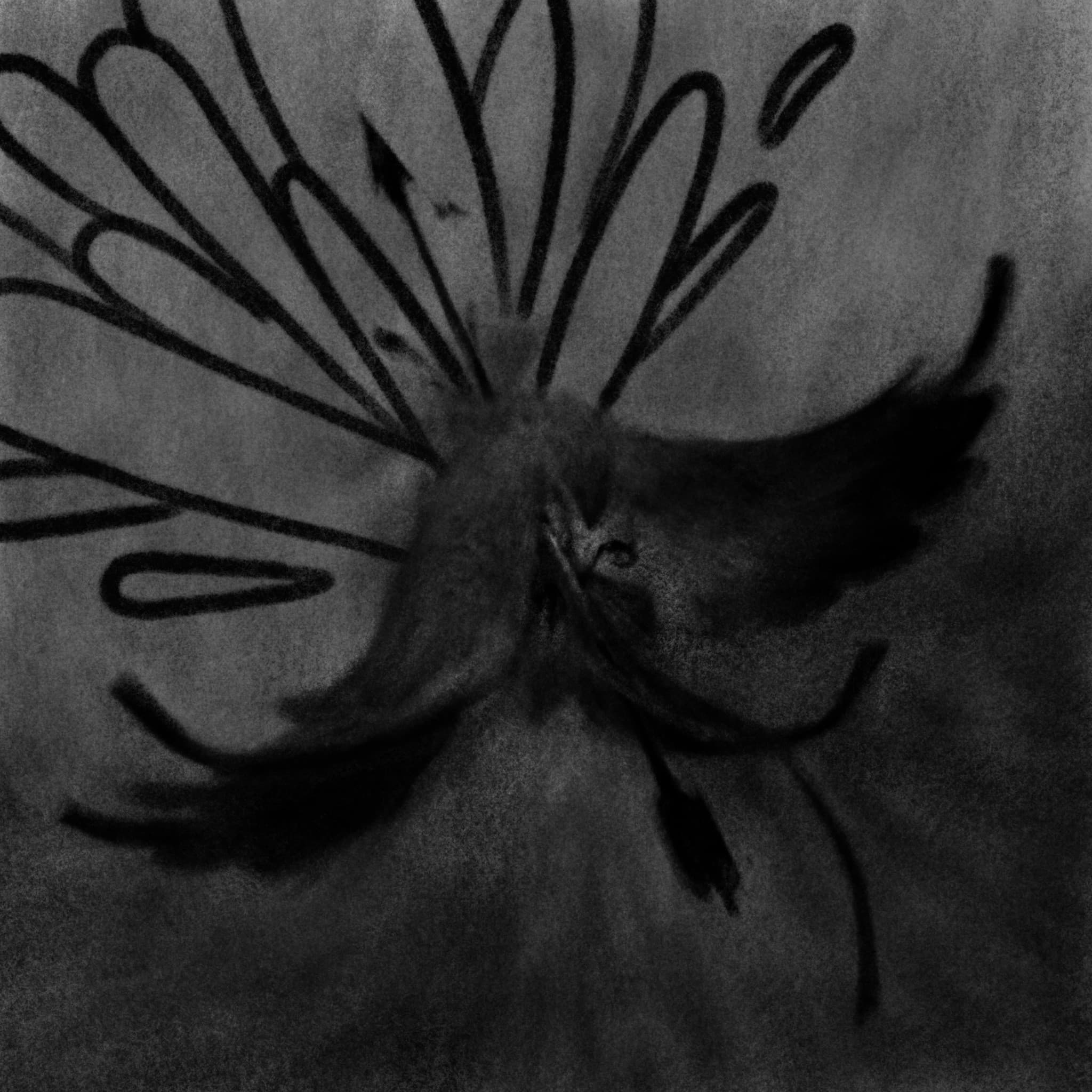 Miscellaneous Illustrations - Image 8