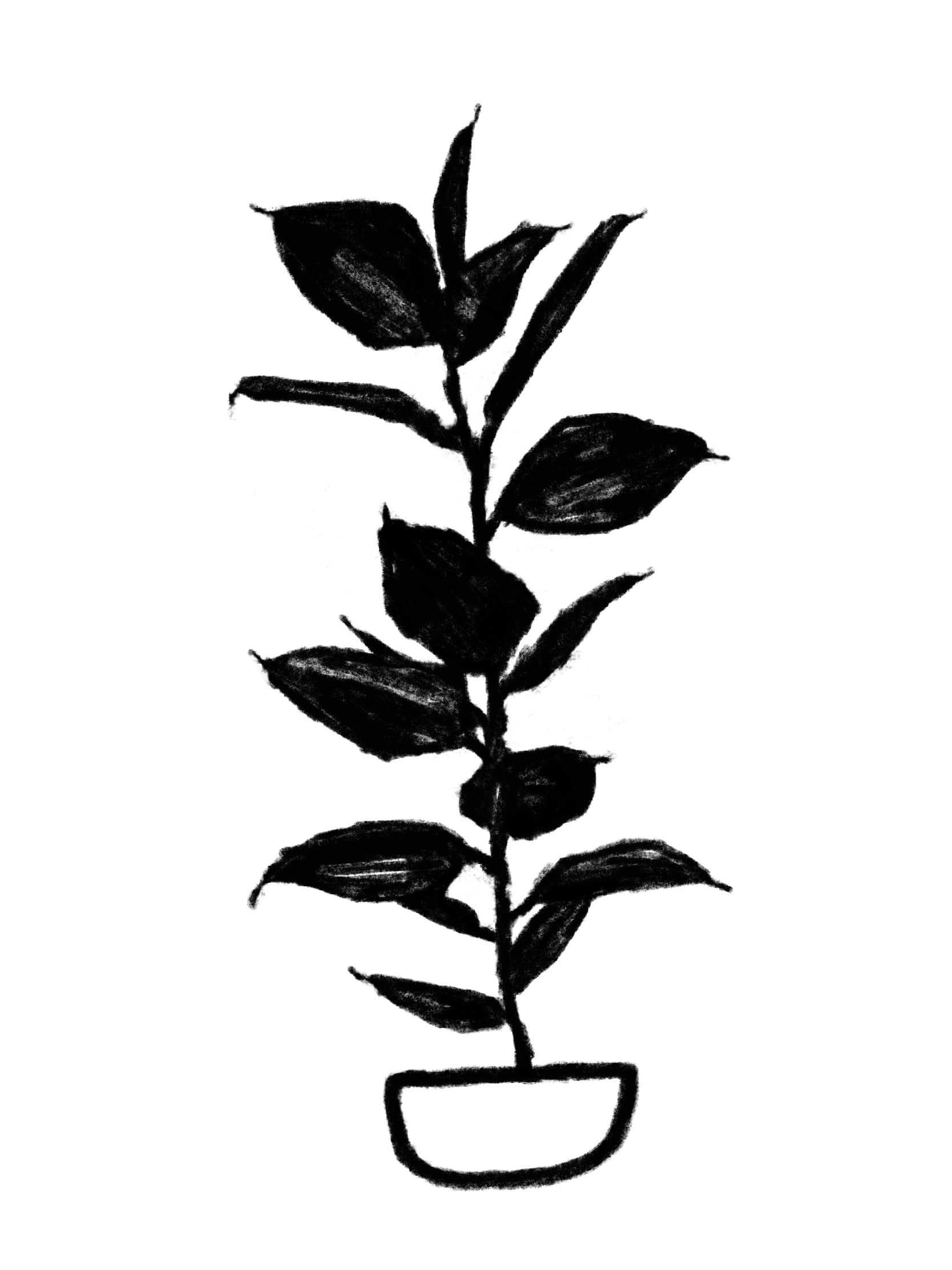 Miscellaneous Illustrations - Image 3