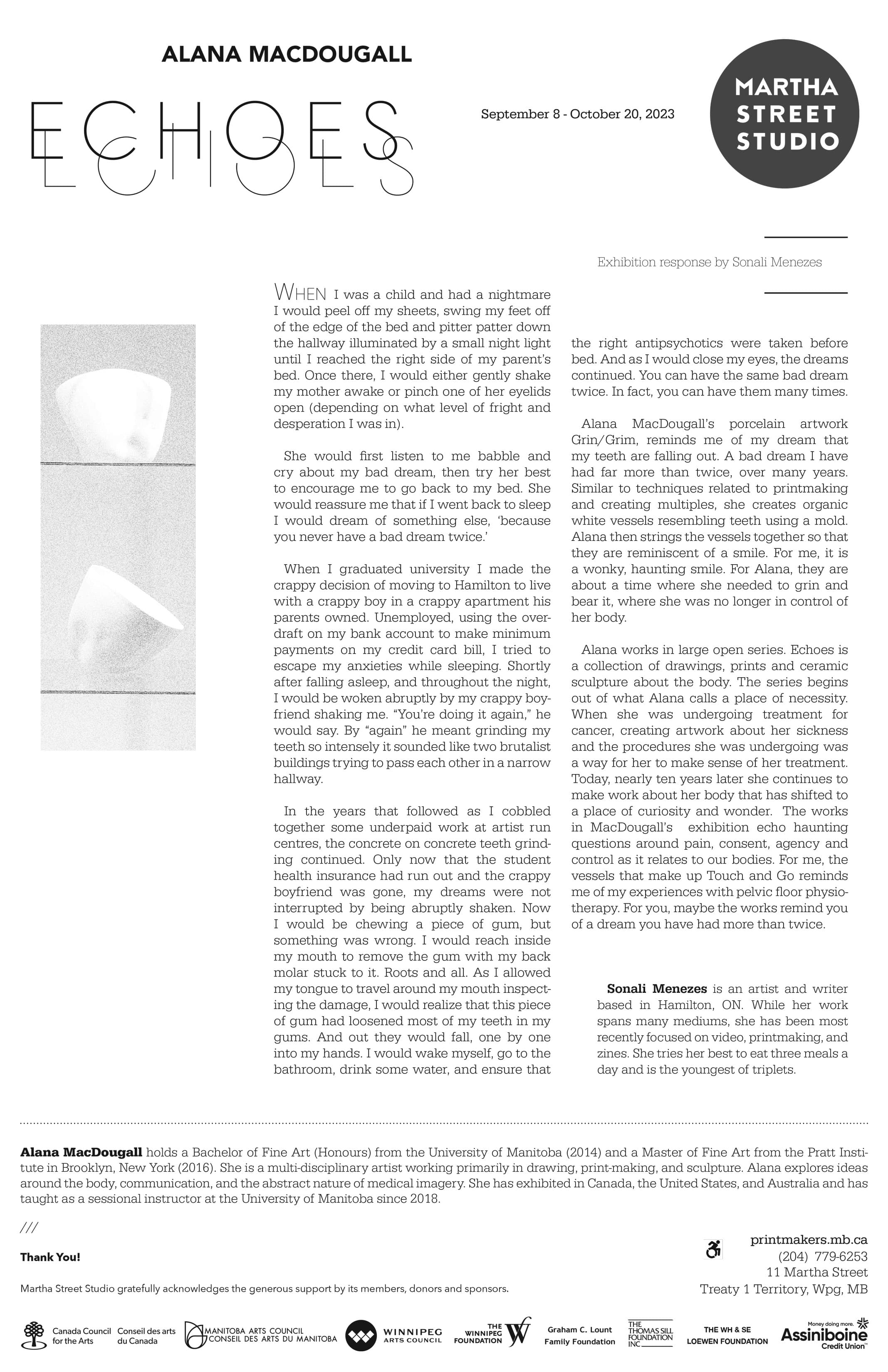 Echoes Risograph Catalogue