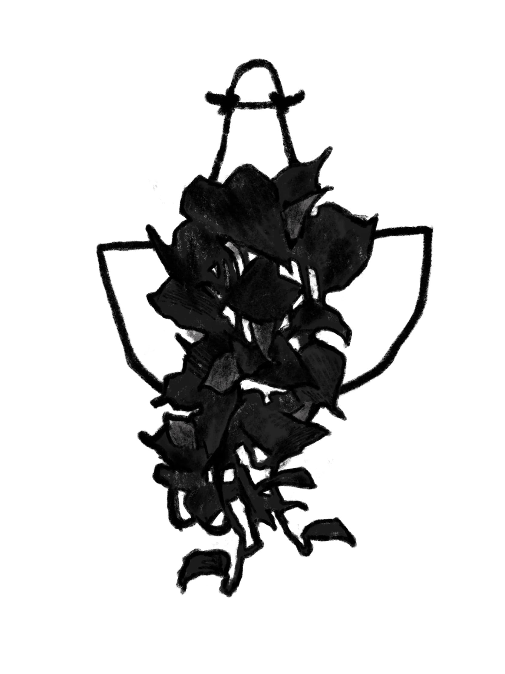 Miscellaneous Illustrations